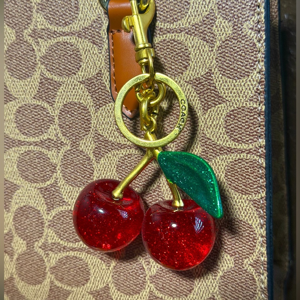 Large Cherry charm